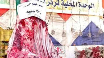 أسعار اللحوم والأسماك في منافذ الوادي الجديد بعد وصول الكيلو لـ320 جنيهاً